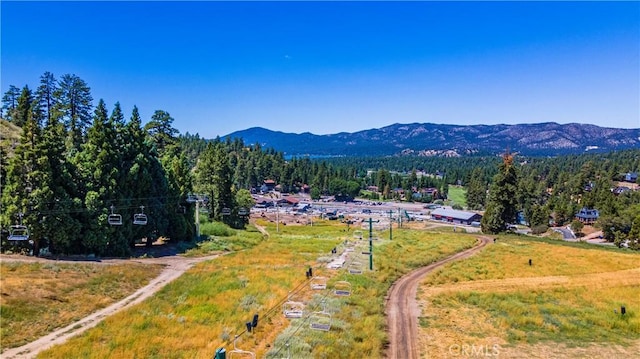 1483 Lassen Dr, Big Bear City, CA 92315 - photo 18