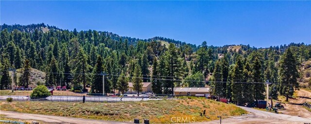 1483 Lassen Dr, Big Bear City, CA 92315 - photo 17