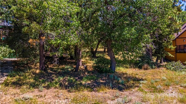 1483 Lassen Dr, Big Bear City, CA 92315 - photo 15