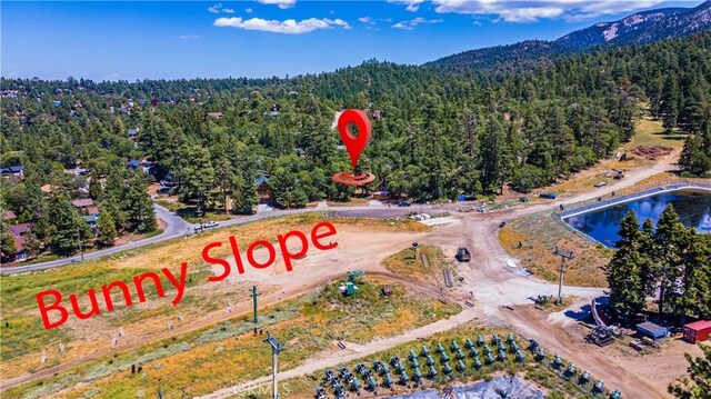 1483 Lassen Dr, Big Bear City, CA 92315 - photo 13