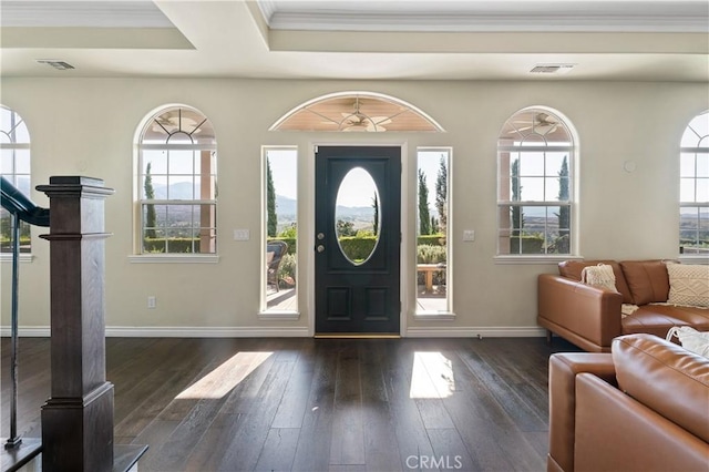 entrance foyer featuring a raised ceiling, ornamental molding, and dark wood-type flooring