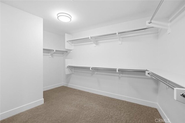 spacious closet with carpet floors