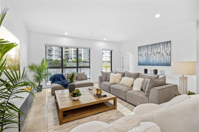 living room featuring light hardwood / wood-style flooring