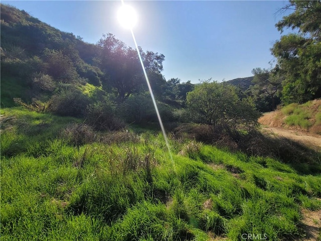 0 N Trail Trail, Sylmar, CA 91342 - photo 9