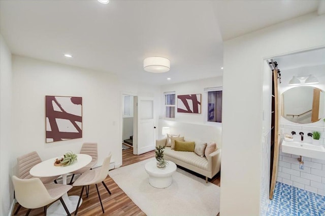 living room featuring sink and hardwood / wood-style flooring