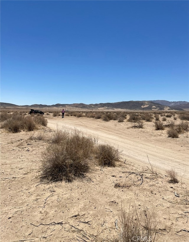 0 Reagan Rd, Joshua Tree CA, 92252 land for sale