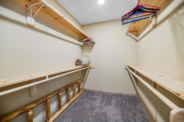 spacious closet featuring carpet