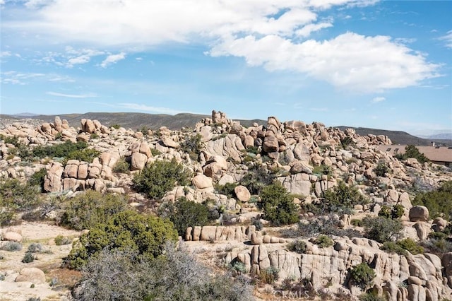 view of mountain feature