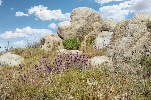 view of landscape