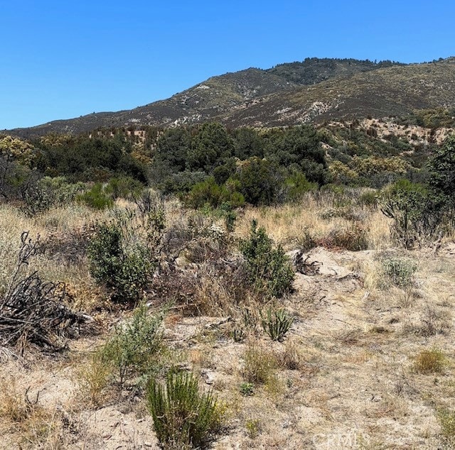 1 Old Frst, Anza CA, 92539 land for sale