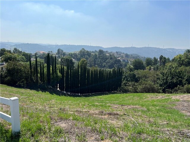 2182 Indian Creek Rd, Diamond Bar, CA 91765 - photo 4