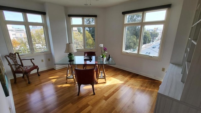 office space featuring a wealth of natural light and light hardwood / wood-style floors