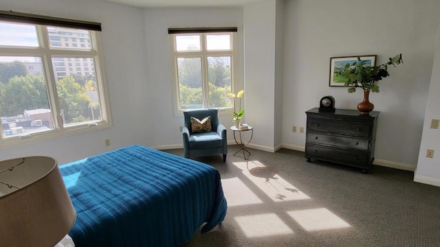 carpeted bedroom featuring multiple windows