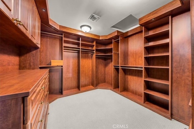 walk in closet with light carpet