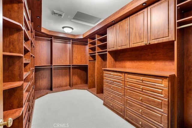 spacious closet with carpet floors