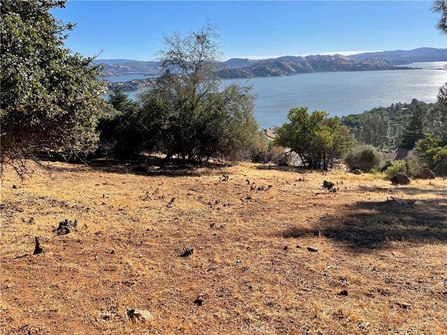 8187 N Heights Dr, Kelseyville, CA 95451 - photo 6