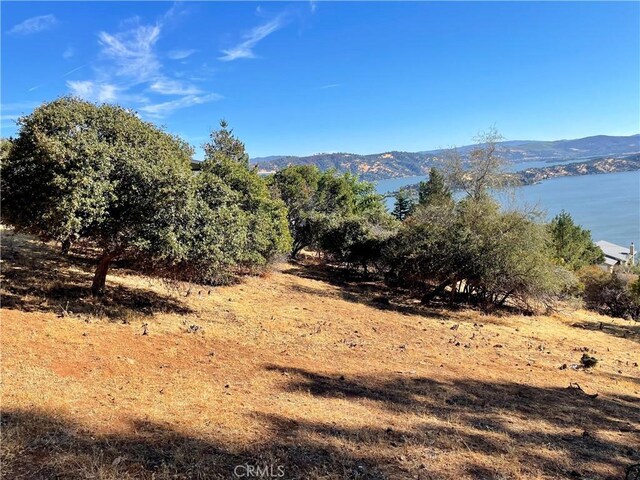 8187 N Heights Dr, Kelseyville, CA 95451 - photo 4