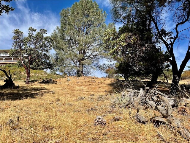 8187 N Heights Dr, Kelseyville, CA 95451 - photo 9