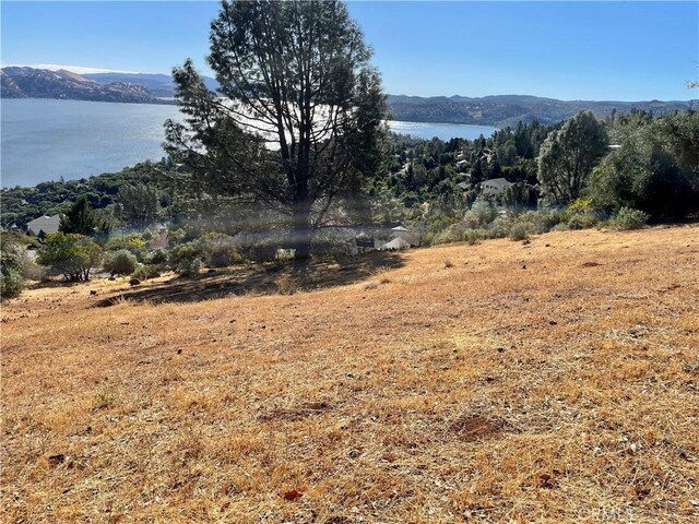 8187 N Heights Dr, Kelseyville, CA 95451 - photo 7