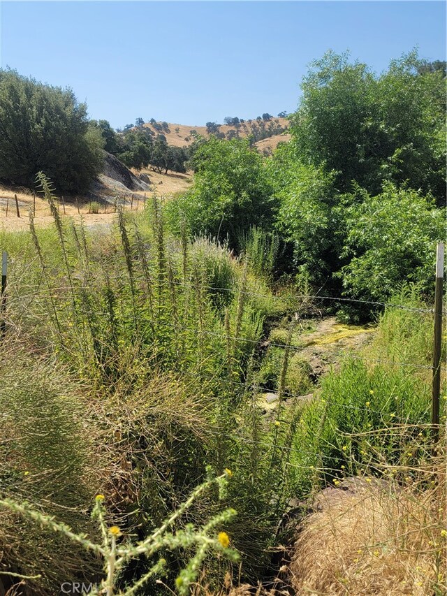 view of mother earth's splendor featuring a rural view