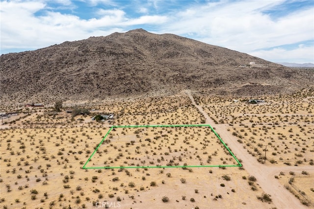 4225 Benji Ave, Joshua Tree CA, 92252 land for sale