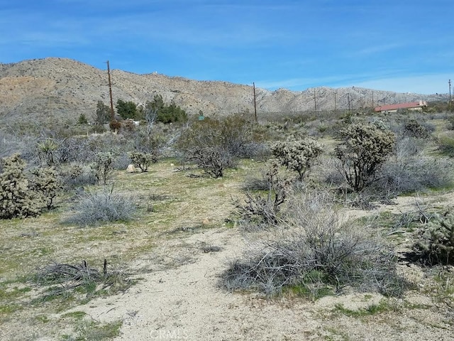 Listing photo 3 for 0 29 Palms Hwy, Morongo Valley CA 92256