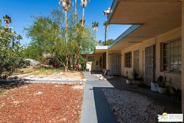 view of yard featuring a patio area