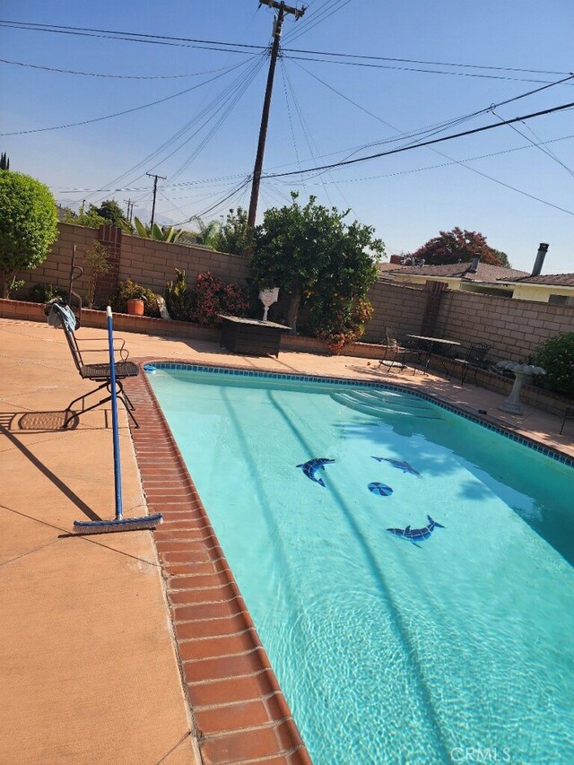 view of swimming pool