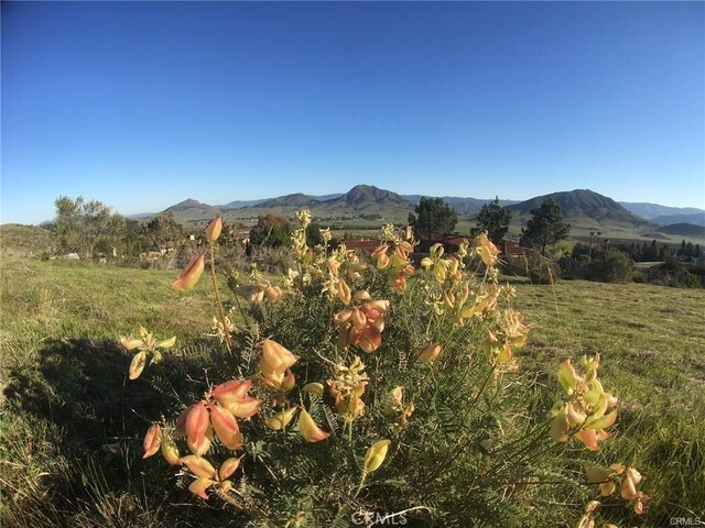 730 Via Laguna, San Luis Obispo, CA 93405