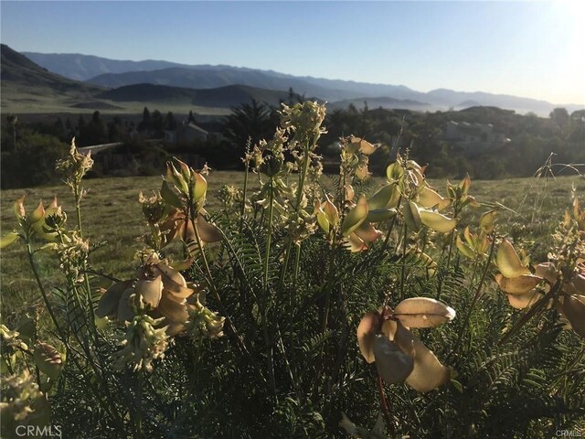 730 Via Laguna, San Luis Obispo, CA 93405