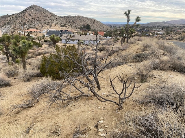 Listing photo 3 for 0 Free Gold Dr, Yucca Valley CA 92284