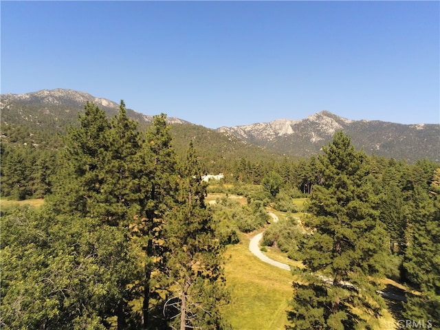 Listing photo 2 for 0 Franklin Dr, Idyllwild CA 92549