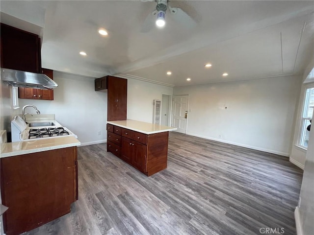 kitchen featuring ventilation hood, sink, crown molding, ceiling fan, and dark hardwood / wood-style flooring