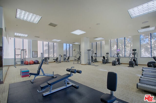 workout area with carpet flooring