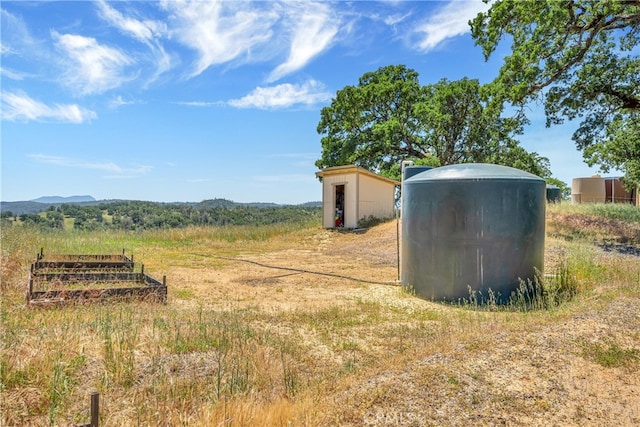 view of yard featuring a shed