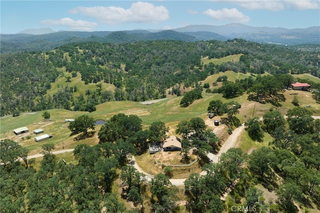 birds eye view of property featuring a mountain view