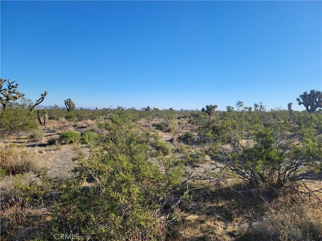 Listing photo 2 for 0 Buckwheat Rd, Pinon Hills CA 92372