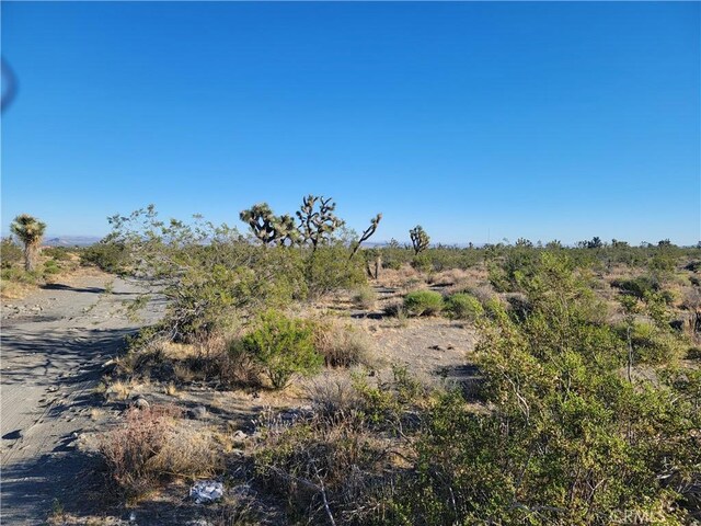 0 Buckwheat Rd, Pinon Hills CA, 92372 land for sale