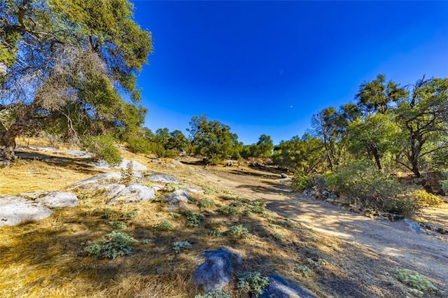 Listing photo 2 for 4200 Silver Lane Rd, Mariposa CA 95338