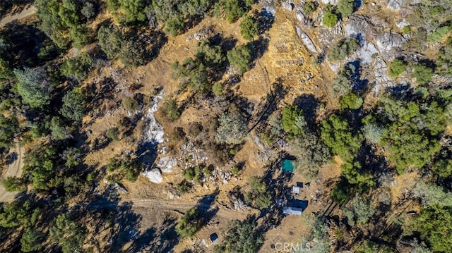 Listing photo 3 for 4200 Silver Lane Rd, Mariposa CA 95338