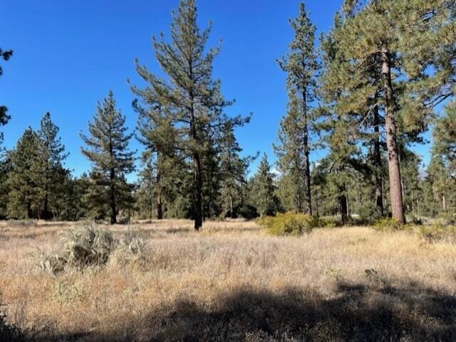 Listing photo 2 for LOT18 Pyramid Peak Rd, Mountain Center CA 92561