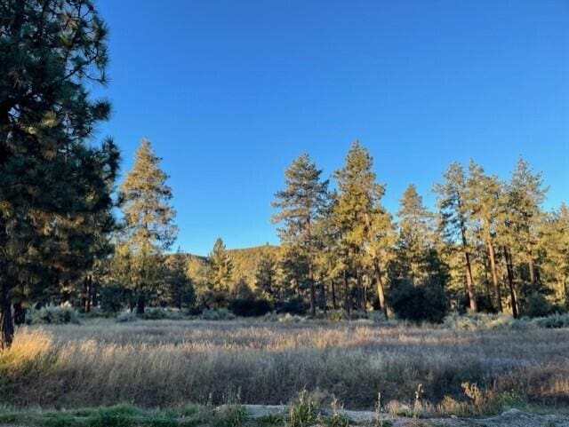 LOT18 Pyramid Peak Rd, Mountain Center CA, 92561 land for sale