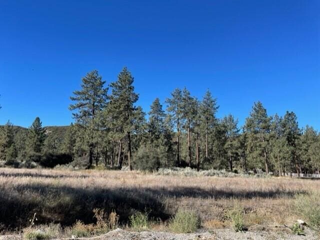 Listing photo 3 for LOT19 Devils Ladder Rd, Mountain Center CA 92561