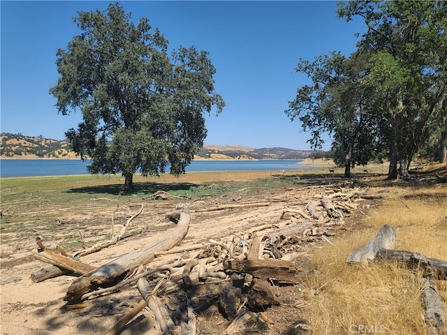 Listing photo 3 for 10 Allen Rd, Paso Robles CA 93446