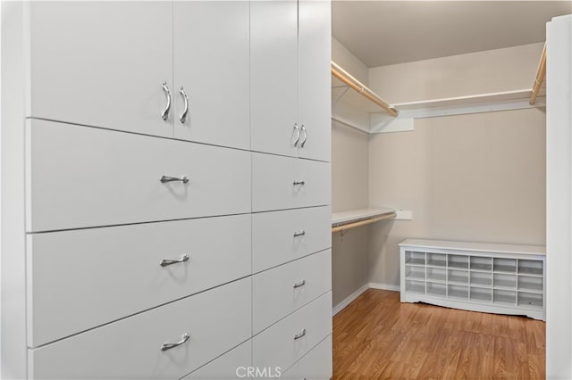 spacious closet featuring light wood-type flooring