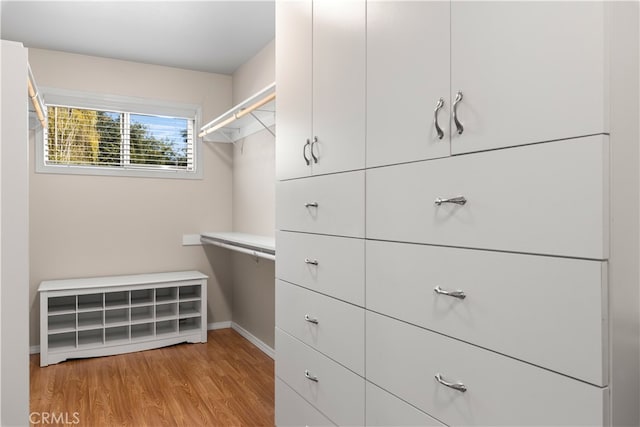 walk in closet featuring light hardwood / wood-style floors