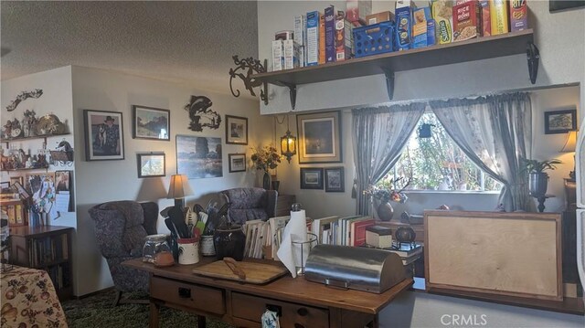 carpeted living room with a textured ceiling