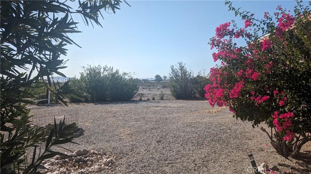 view of yard with a rural view