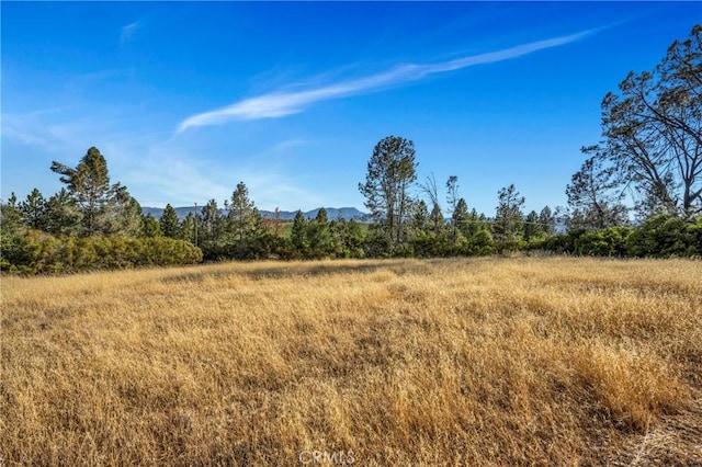 20102 Jaclyn Dr, Middletown, CA 95461 - photo 16