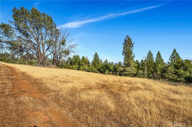 20102 Jaclyn Dr, Middletown, CA 95461 - photo 11